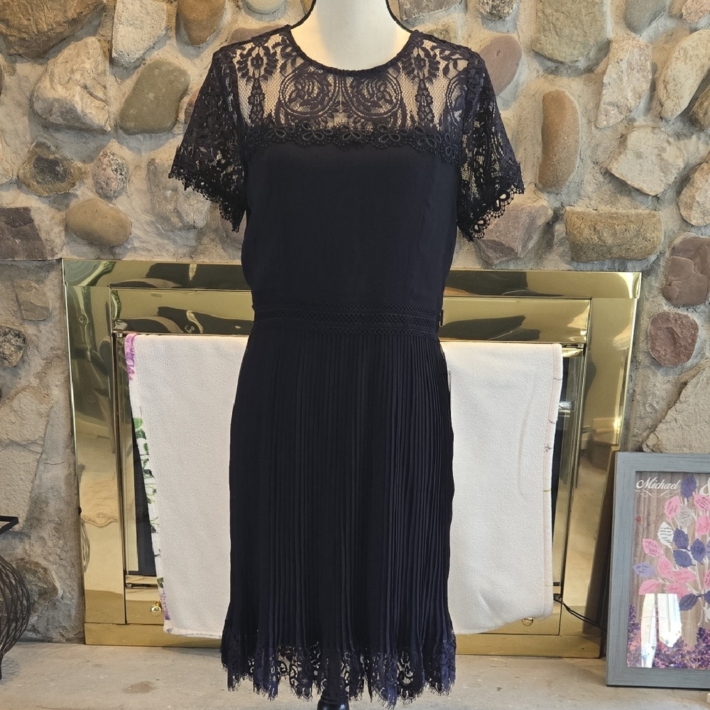 Express Navy Lace Midi Dress